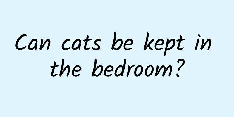 Can cats be kept in the bedroom?