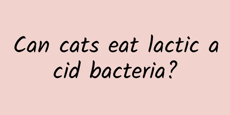 Can cats eat lactic acid bacteria?
