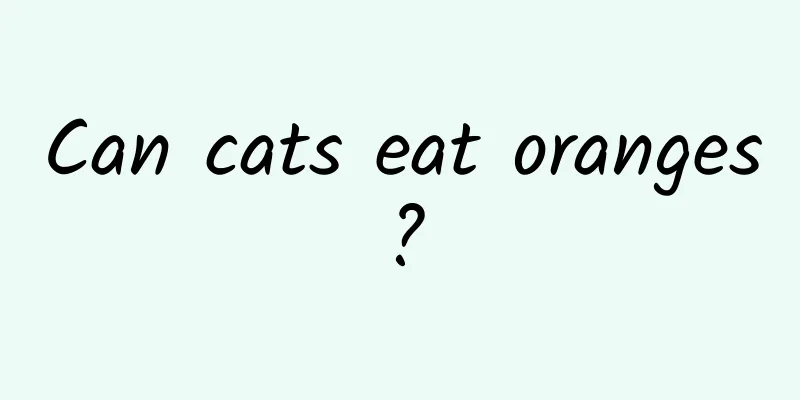 Can cats eat oranges?