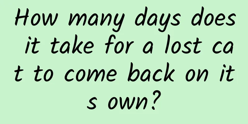 How many days does it take for a lost cat to come back on its own?