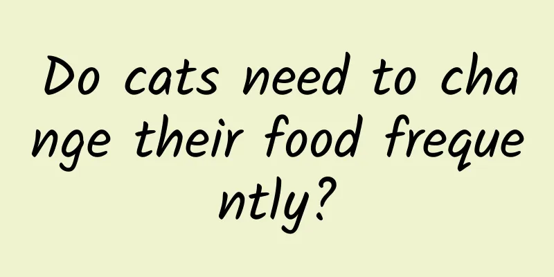 Do cats need to change their food frequently?