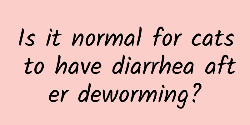 Is it normal for cats to have diarrhea after deworming?