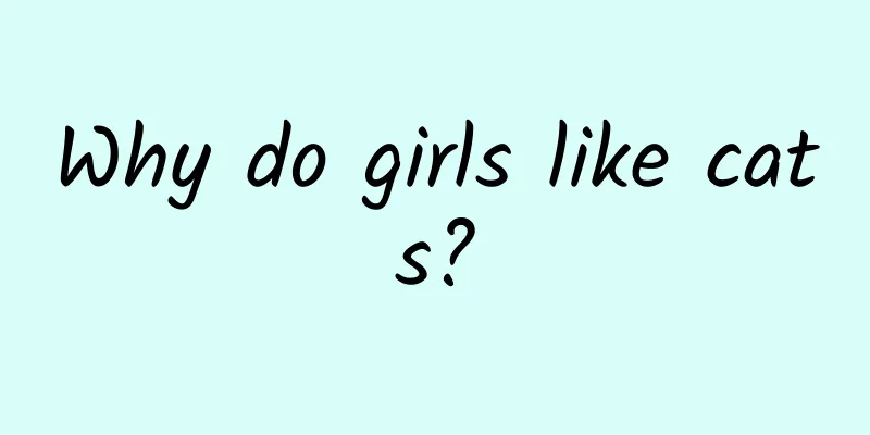 Why do girls like cats?