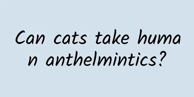Can cats take human anthelmintics?