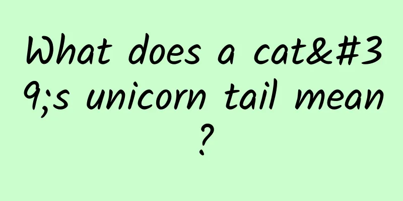 What does a cat's unicorn tail mean?