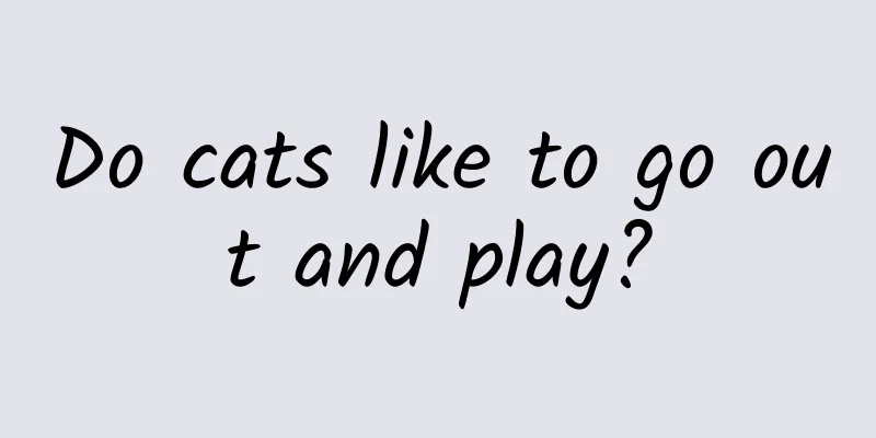 Do cats like to go out and play?