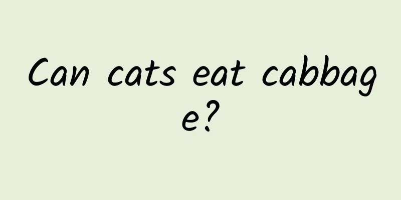 Can cats eat cabbage?