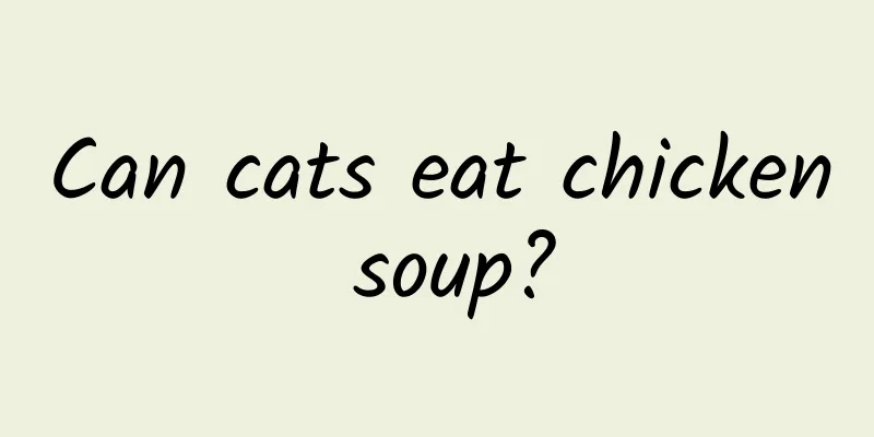 Can cats eat chicken soup?