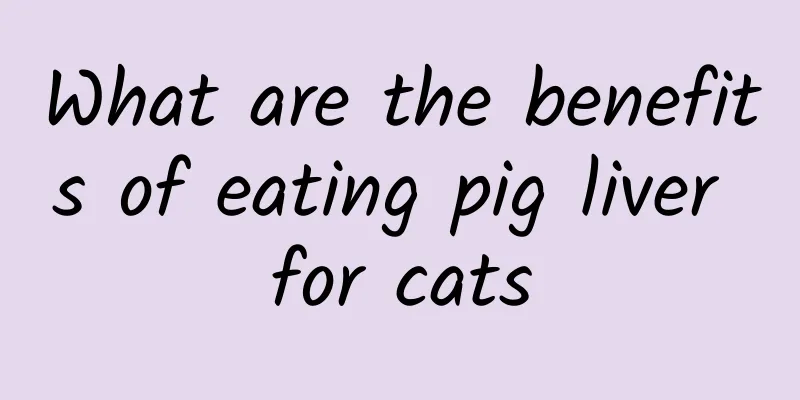 What are the benefits of eating pig liver for cats
