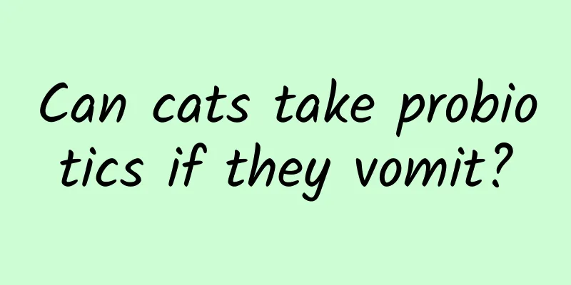 Can cats take probiotics if they vomit?