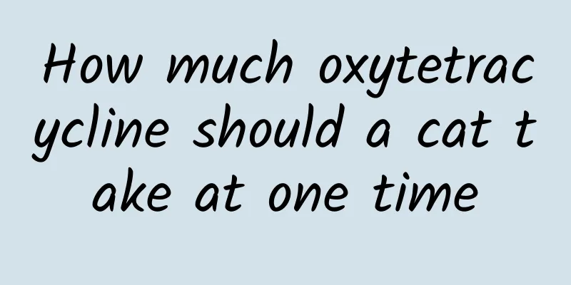 How much oxytetracycline should a cat take at one time