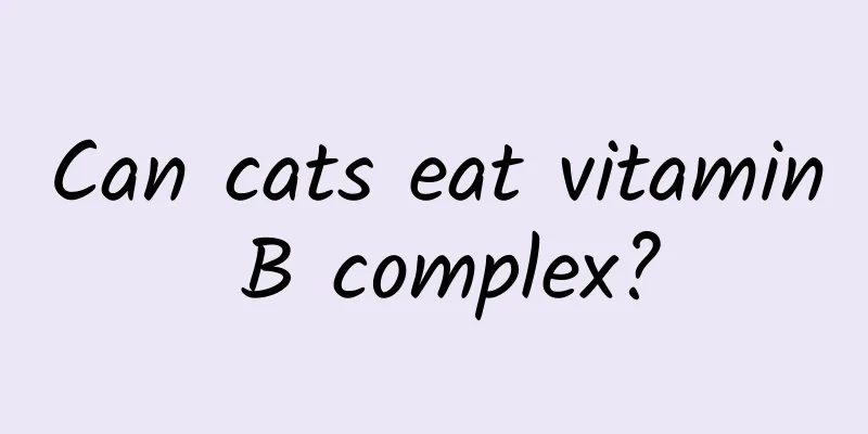 Can cats eat vitamin B complex?