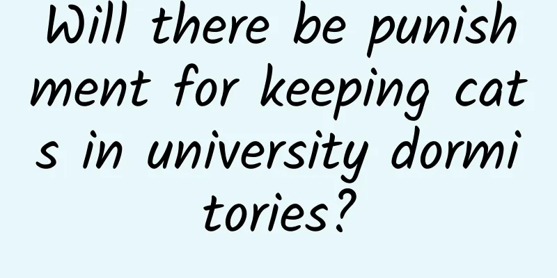 Will there be punishment for keeping cats in university dormitories?