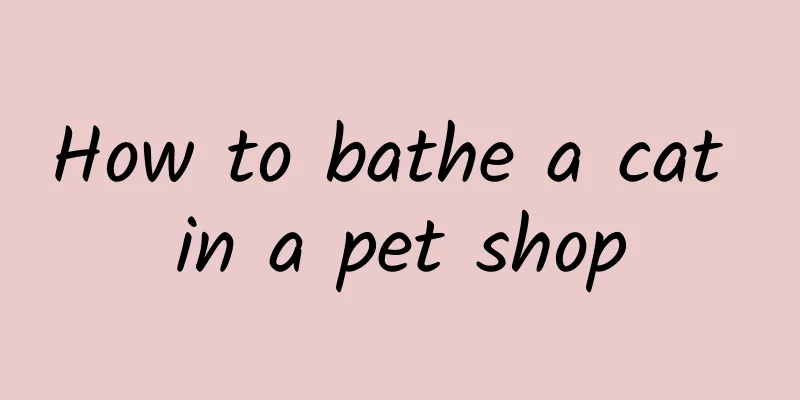 How to bathe a cat in a pet shop