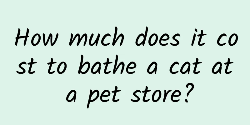 How much does it cost to bathe a cat at a pet store?