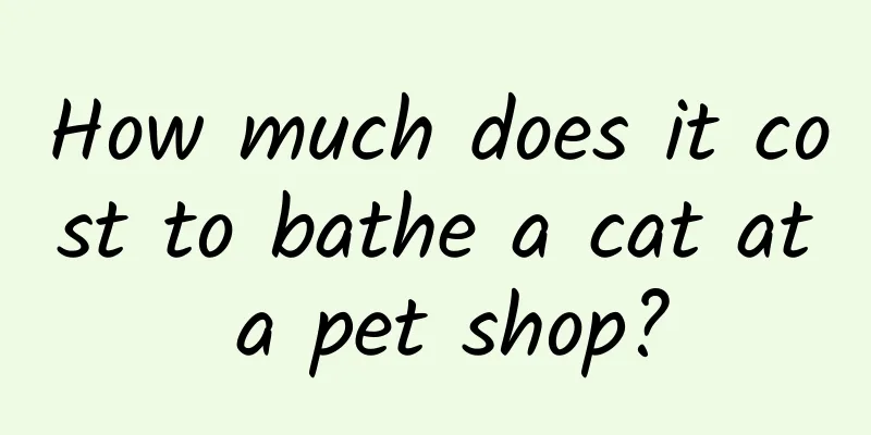 How much does it cost to bathe a cat at a pet shop?