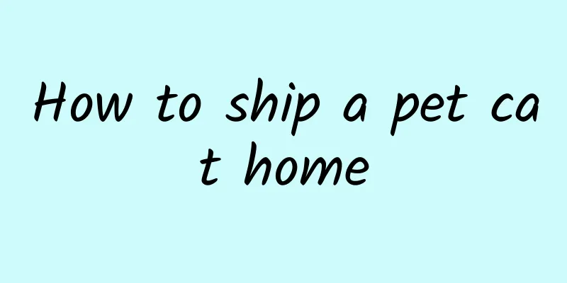 How to ship a pet cat home
