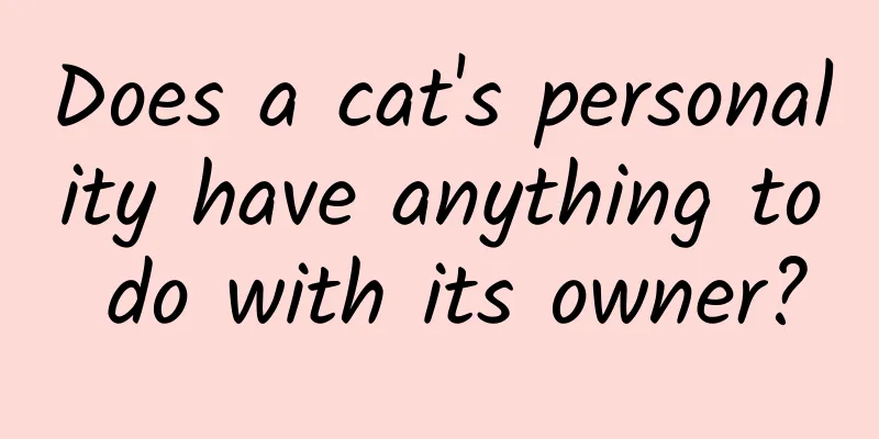Does a cat's personality have anything to do with its owner?