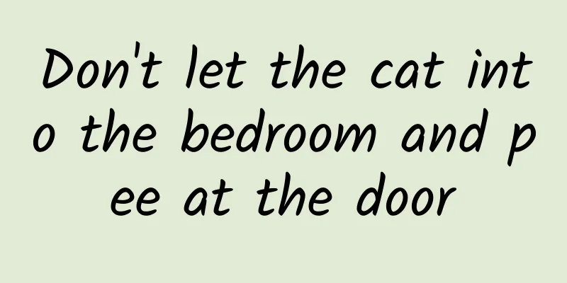 Don't let the cat into the bedroom and pee at the door