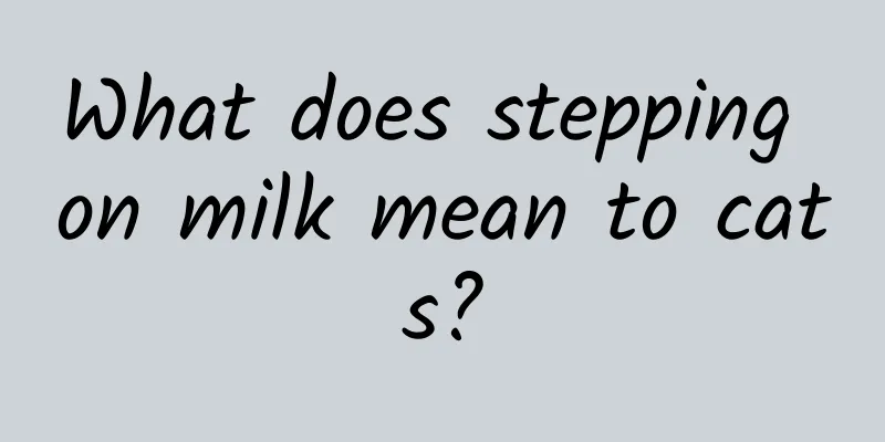 What does stepping on milk mean to cats?