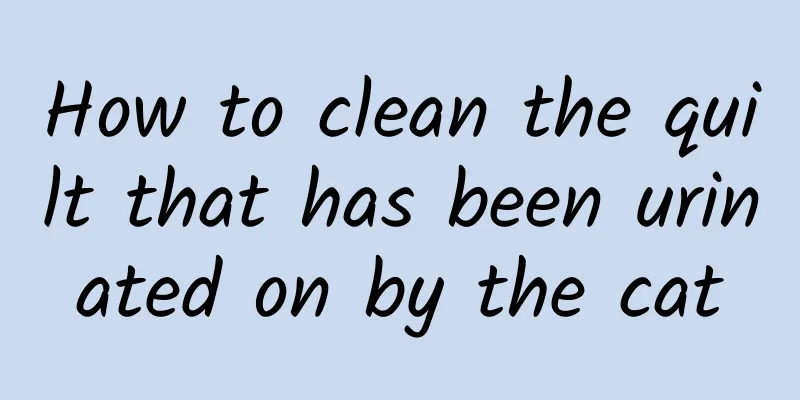 How to clean the quilt that has been urinated on by the cat