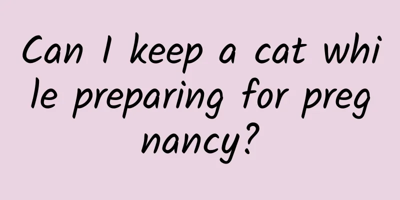 Can I keep a cat while preparing for pregnancy?