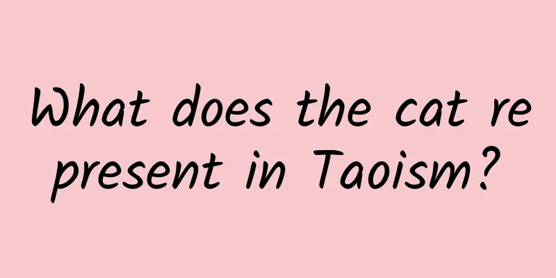 What does the cat represent in Taoism?