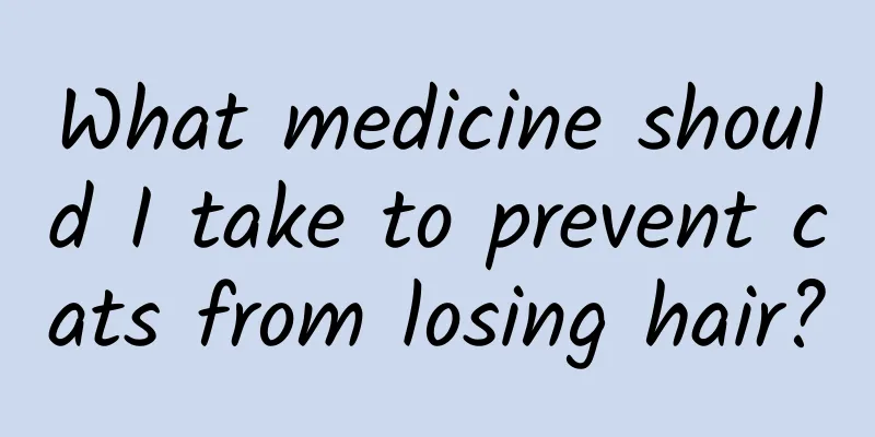 What medicine should I take to prevent cats from losing hair?