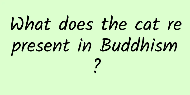 What does the cat represent in Buddhism?