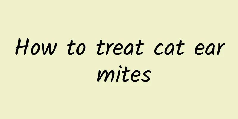 How to treat cat ear mites