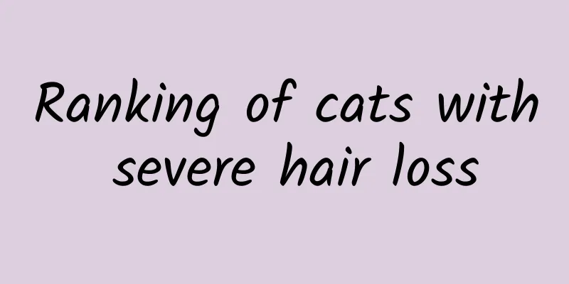 Ranking of cats with severe hair loss