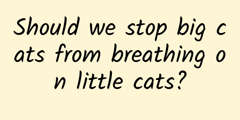 Should we stop big cats from breathing on little cats?