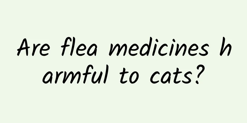 Are flea medicines harmful to cats?