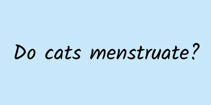 Do cats menstruate?