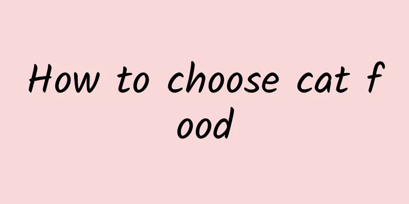 How to choose cat food