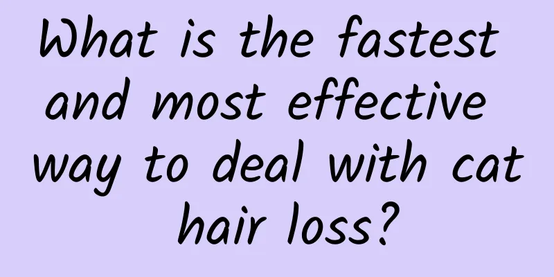 What is the fastest and most effective way to deal with cat hair loss?