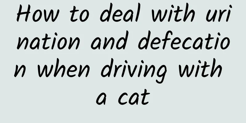 How to deal with urination and defecation when driving with a cat