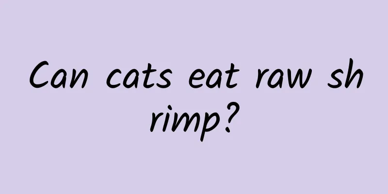 Can cats eat raw shrimp?