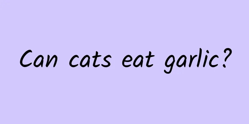 Can cats eat garlic?