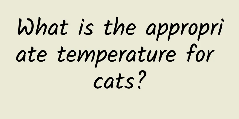 What is the appropriate temperature for cats?