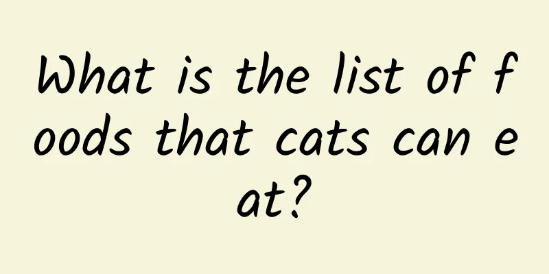 What is the list of foods that cats can eat?