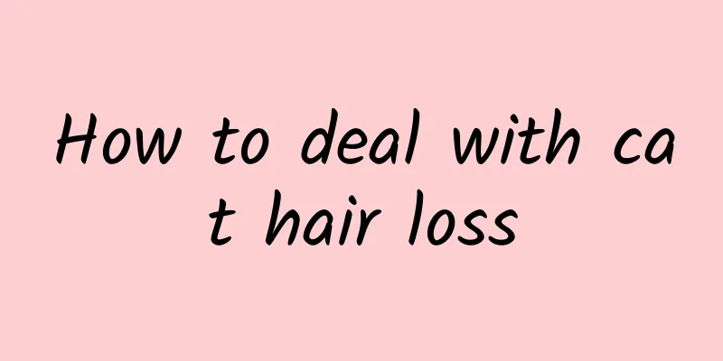 How to deal with cat hair loss