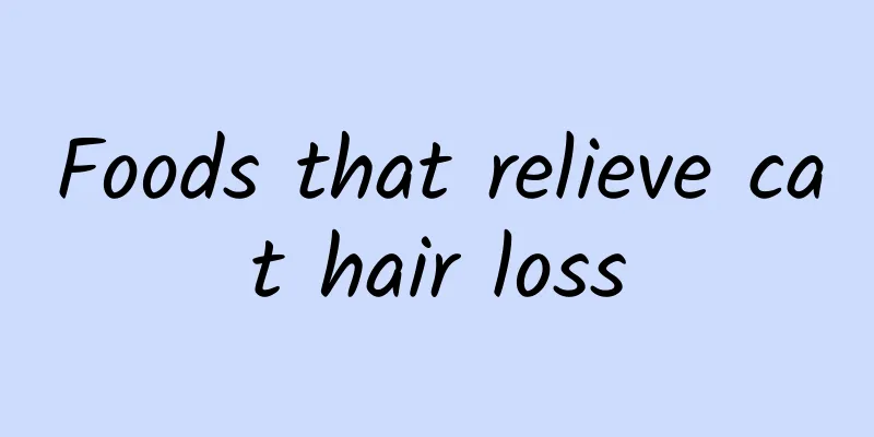Foods that relieve cat hair loss