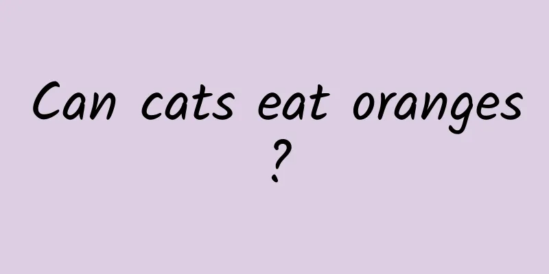 Can cats eat oranges?