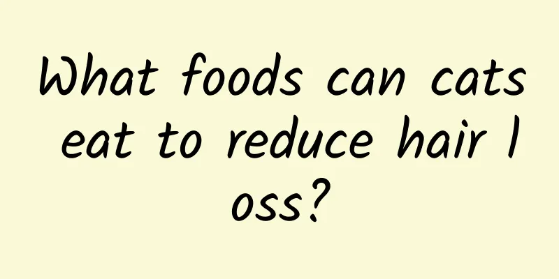 What foods can cats eat to reduce hair loss?