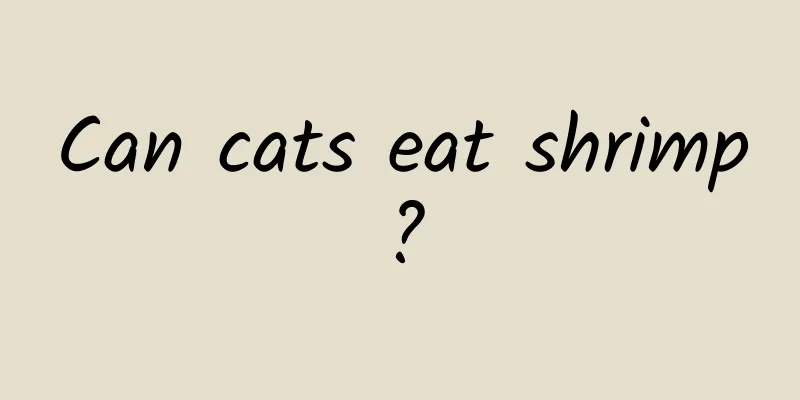 Can cats eat shrimp?