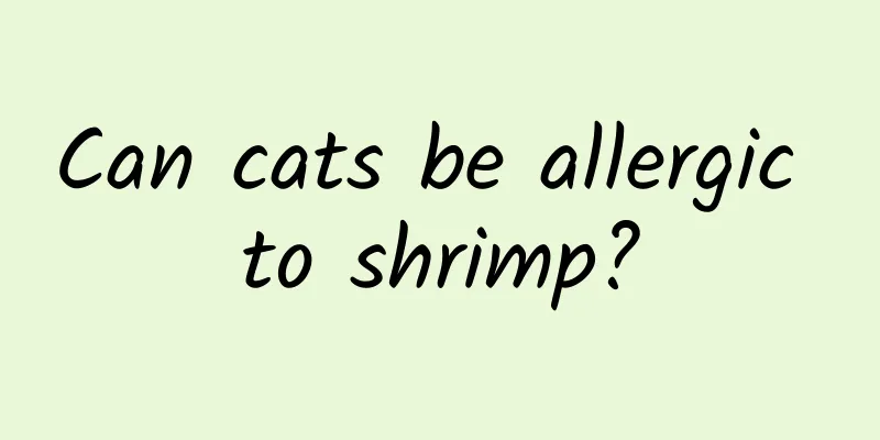 Can cats be allergic to shrimp?