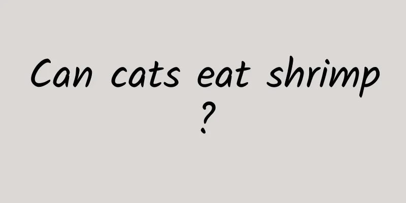 Can cats eat shrimp?