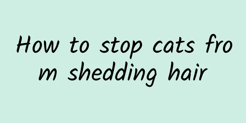 How to stop cats from shedding hair