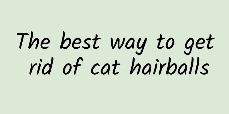 The best way to get rid of cat hairballs